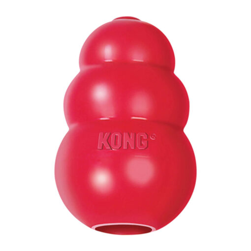 KONG Dog Toy - Classic - Treat Toy