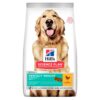 HILL'S SCIENCE PLAN Adult Perfect Weight Large Breed Dry Dog Food Chicken Flavour