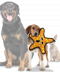 Alternative view of Tuffy Ocean Starfish