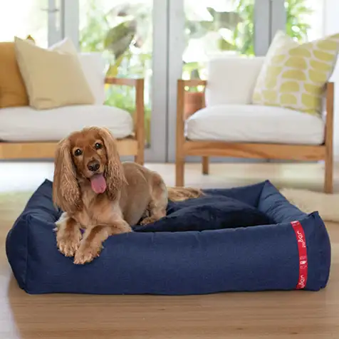 Wagworld DREAM POD Marmaduke Pets