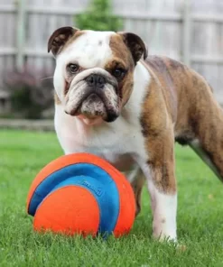 Chuckit! Kick Fetch - Image 3