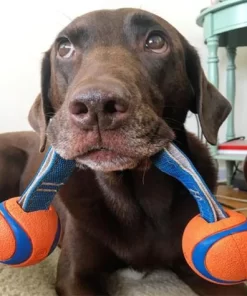 Chuckit! Ultra Duo Tug - Image 3