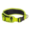 Dayglo Yellow