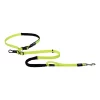 Dayglo