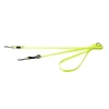 Dayglo