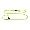 Dayglo Yellow