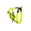 Dayglo