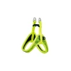 Dayglo