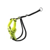 Dayglo