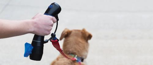I'm Gismo Handle with Poop Bag Dispenser - Marmaduke Pets