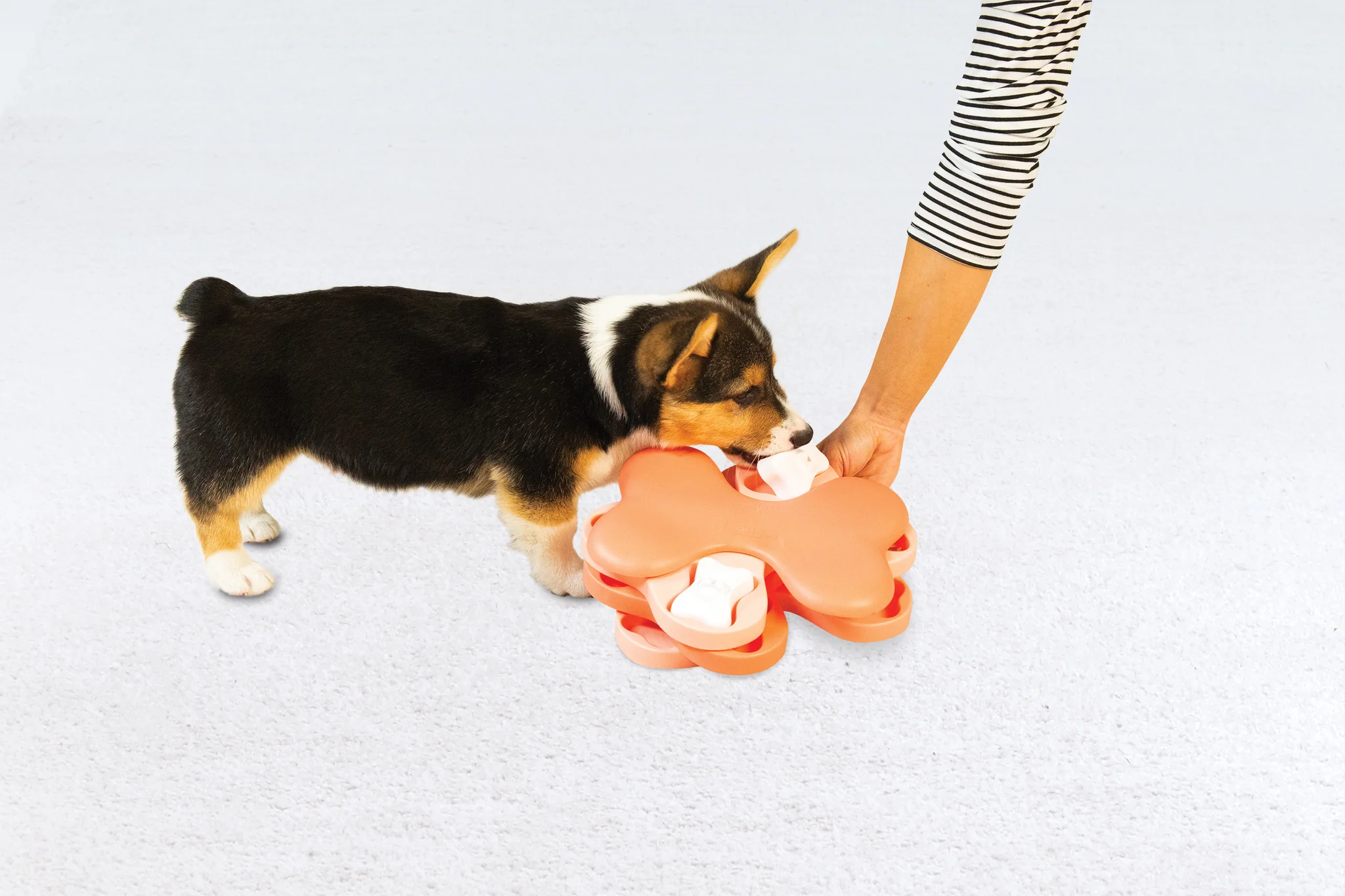 Nina Ottosson Puppy Tornado - Image 6