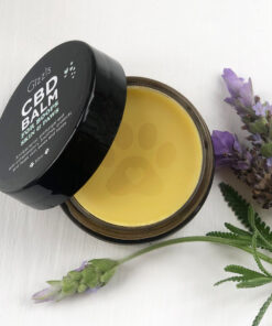 Gizzls CBD Balm for Dogs and Cats