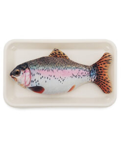 Jolly Moggy Catnip Trout Toy
