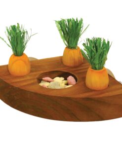 Carrot Toy 'n' Treat Holder
