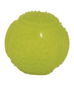 Jolly Doggy Glow in the Dark Ball