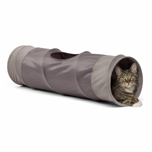 Cat Tunnel Ilan