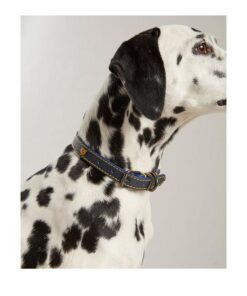 Rosewood Joules Navy Leather Dog Collars
