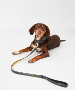 Rosewood & Joules Navy Leather Dog Lead - Image 5