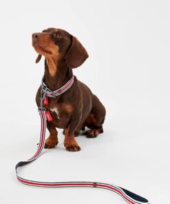 Rosewood Joules Striped Lead - Image 5