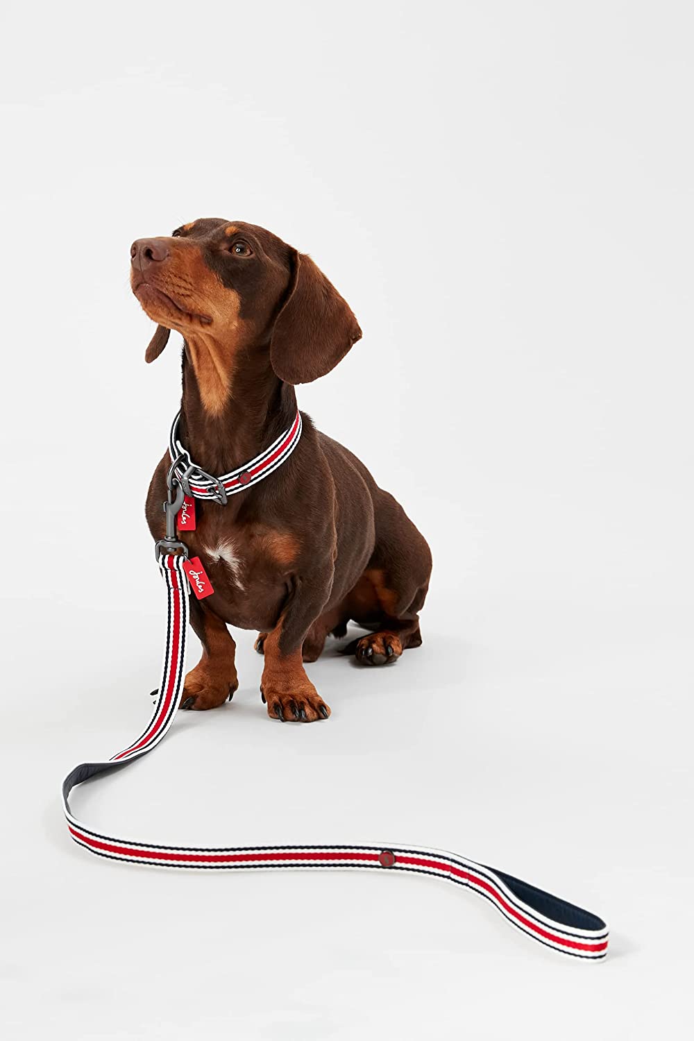 Rosewood Joules Striped Lead - Image 5