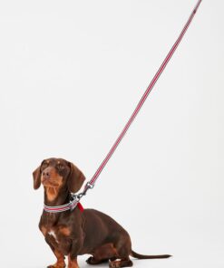 Rosewood Joules Striped Lead - Image 4