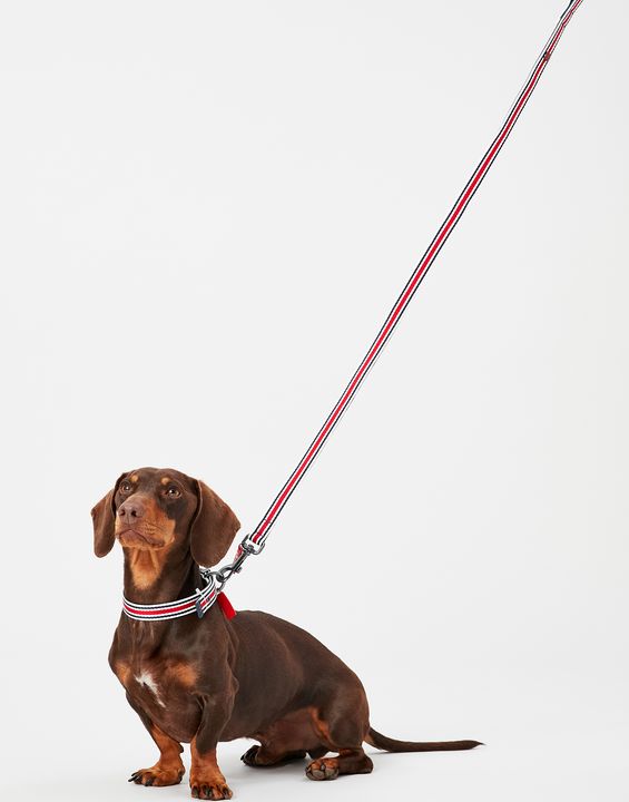 Rosewood Joules Striped Lead - Image 4
