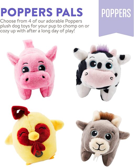 Poppers