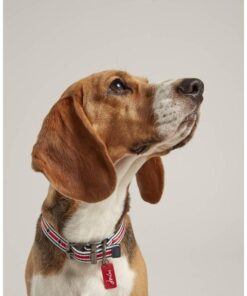 Alternative view of Rosewood & Joules Striped Dog Collars