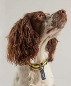 Rosewood Joules Navy Coastal Dog Collars
