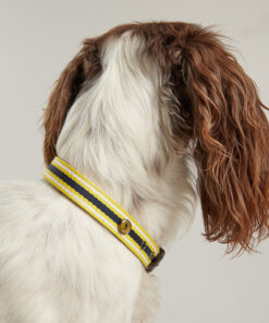 Alternative view of Rosewood Joules Navy Coastal Dog Collars