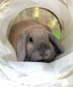 Rabbit Activity Tunnel 90cm