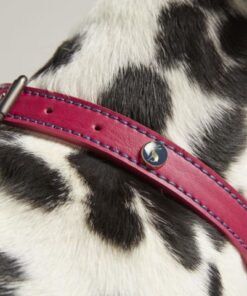 Alternative view of Rosewood Joules Pink Leather Dog Collars