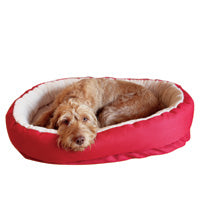 Alternative view of Red Orthopaedic Bed