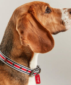 Rosewood & Joules Striped Dog Collars