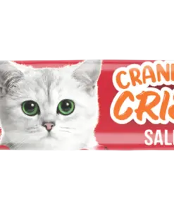 Kit Cat Cranberry Crisps (20gX50 Packets) - Image 5