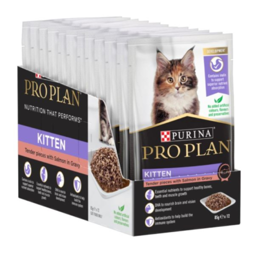 Purina Pro Plan Salmon in Gravy Kitten Wet Food-12x85g