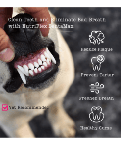 Alternative view of NutriFlex DentaMax Powder For Dogs and Cats - 100G