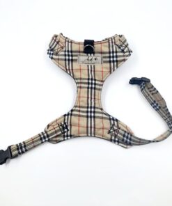 Burberry Chest Harness