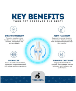 Alternative view of Vets2Pets Joint Support Powder