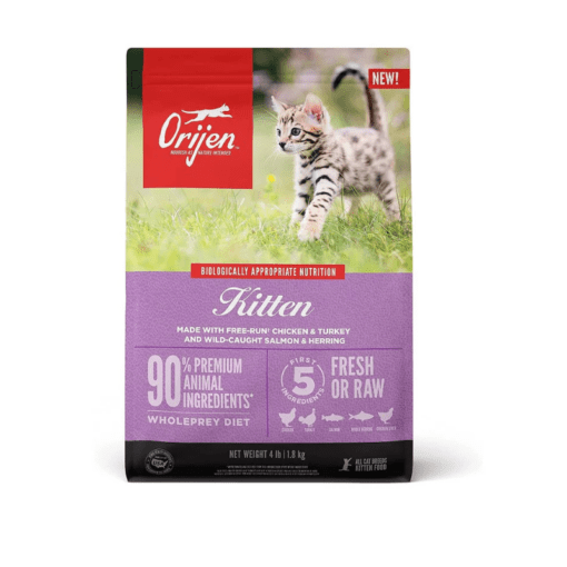 Orijen Kitten