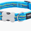 Red Dingo 'Dreamstream Turquoise' Collar