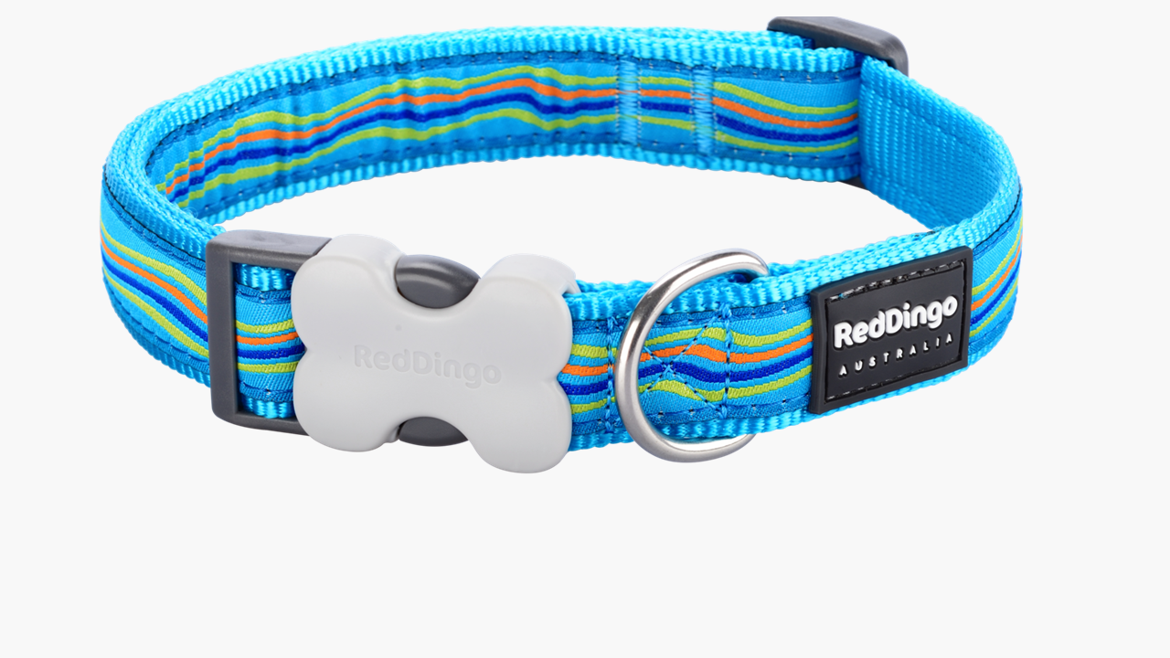 Red Dingo 'Dreamstream Turquoise' Collar