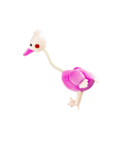Zugo Ostrich
