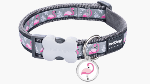 Red Dingo 'Flamingo Cool Grey' Collar