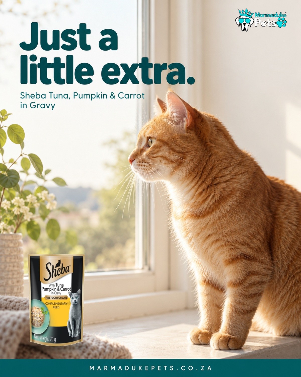 A little extra for your cat: a closer look at the Sheba pouch